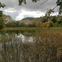 Озёрная тишина :: Андрей Хлопонин