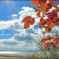 Осень :: **** vedin