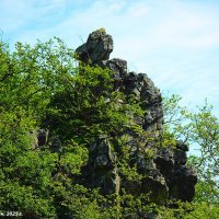 По пути на Красный водопад :: Александр Чашин По пути на Красный водопад :: Александр Чашин