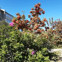 В городе осенью :: Галина Минчук