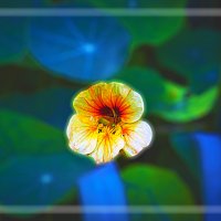 Фотозарисовка :: Владимир Кроливец