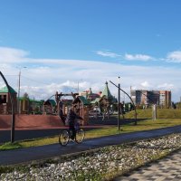 Солнечная осень :: Ольга 