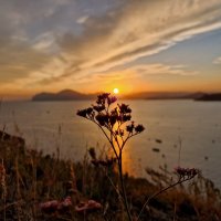 Солнечная дорожка над морем :: Мария Яковлева