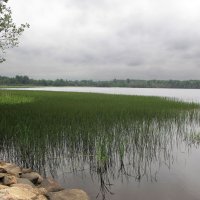 Дымское (Святое) озеро :: Александр Ильчевский 