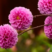 Утро сентября :: Юрий. Шмаков