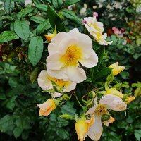 ,,, :: Сергей Тимоновский