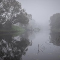 **** :: Елизавета .