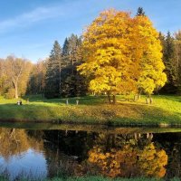 "Ооосень, ооосень..." :: Хватова Марина 