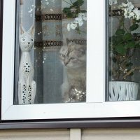 ** :: Зоя Мишина