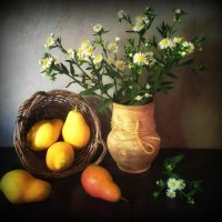 Осенний этюд :: TAMARA КАДАНОВА Осенний этюд :: TAMARA КАДАНОВА