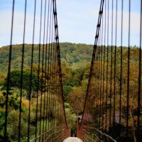 р. Белая, подвесной мост :: Evgeny Mameev