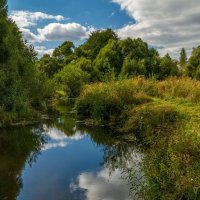 Осень она не спросит 12 :: Андрей Дворников Осень она не спросит 12 :: Андрей Дворников