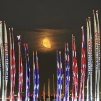 Луна ( она она она) :: Анна Камс