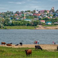 Бирск. "Здесь жизнь течет совсем другая..." :: Сергей Шатохин 