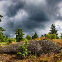 Гора Папула, Выборг :: Laryan1 