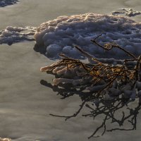 веточка уже частично просолилась... :: Осень 