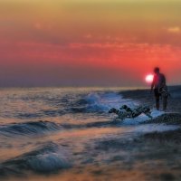 Даже собаки ездят отдыхать на море... :: AZ east3