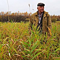 А осенние травы  еще зеленеют... :: Владимир 