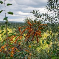 - :: Владимир Мигонькин