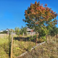 Деревня Курбатово :: Денис Бочкарёв