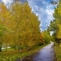 Парк Северное Бутово :: Aleksey Afonin