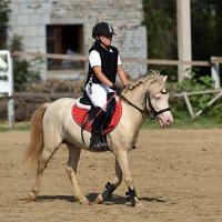 ...маленькие :: Александр Гриднев