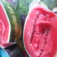 повезло, хороший! из магазина... :: Галина Флора