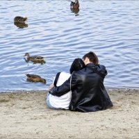 Утки все парами... :: Валентина * Утки все парами... :: Валентина *