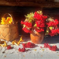 Солнечный сентябрьский денёк! :: Нина Андронова