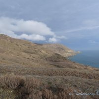 Природа Крыма :: Amazing Cosmea