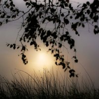 Час солнца :: liudmila drake