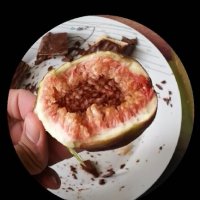 113 (102) :: CLOSE WAYS ALL