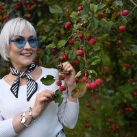 Галочка :: Олег Каразанов