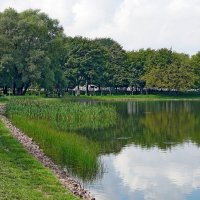 Пруд Садки :: Игорь Белоногов Пруд Садки :: Игорь Белоногов