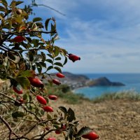 Крым :: Мария Яковлева