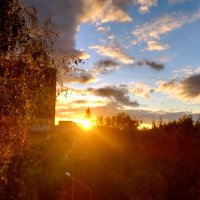 Вечернее солнце в объективе . :: Мила Бовкун