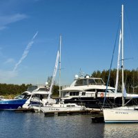 «На спокойной волне…» :: Арина Невская