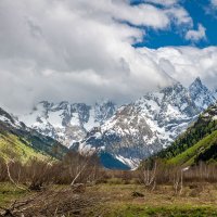 Весна в Гоначхирском ущелье. Домбай.Карачаево-Черкессия. :: Дина Евсеева
