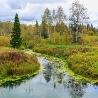 Бобриный Лог :: Сергей Винтовкин