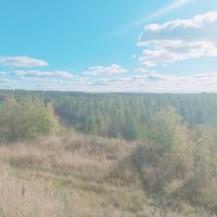 Море леса. :: Игорь Солдаткин