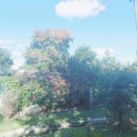 Эпоха лета закончилась. :: Игорь Солдаткин