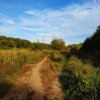 Бабье лето в Лосином острове :: Андрей Лукьянов