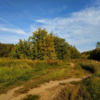 Бабье лето в Лосином острове :: Андрей Лукьянов