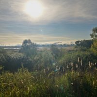 утро :: Константин Сафронов