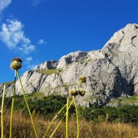 Пшехский водопад :: Tata Wolf Пшехский водопад :: Tata Wolf