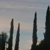 13  ОПЕН (348) :: OPEN WAYS ALL