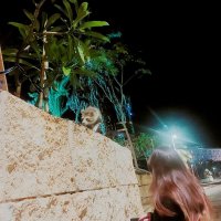 13  ОПЕН (351) :: OPEN WAYS ALL