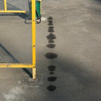 ... :: Денис Безногов