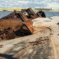 Собачьи следы. :: Владимир Владимир