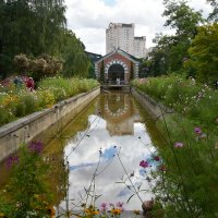 Москва. Август в Аптекарском огороде. :: Наташа *****
